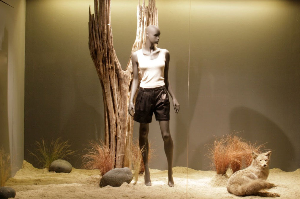 服裝店櫥窗設(shè)計效果圖